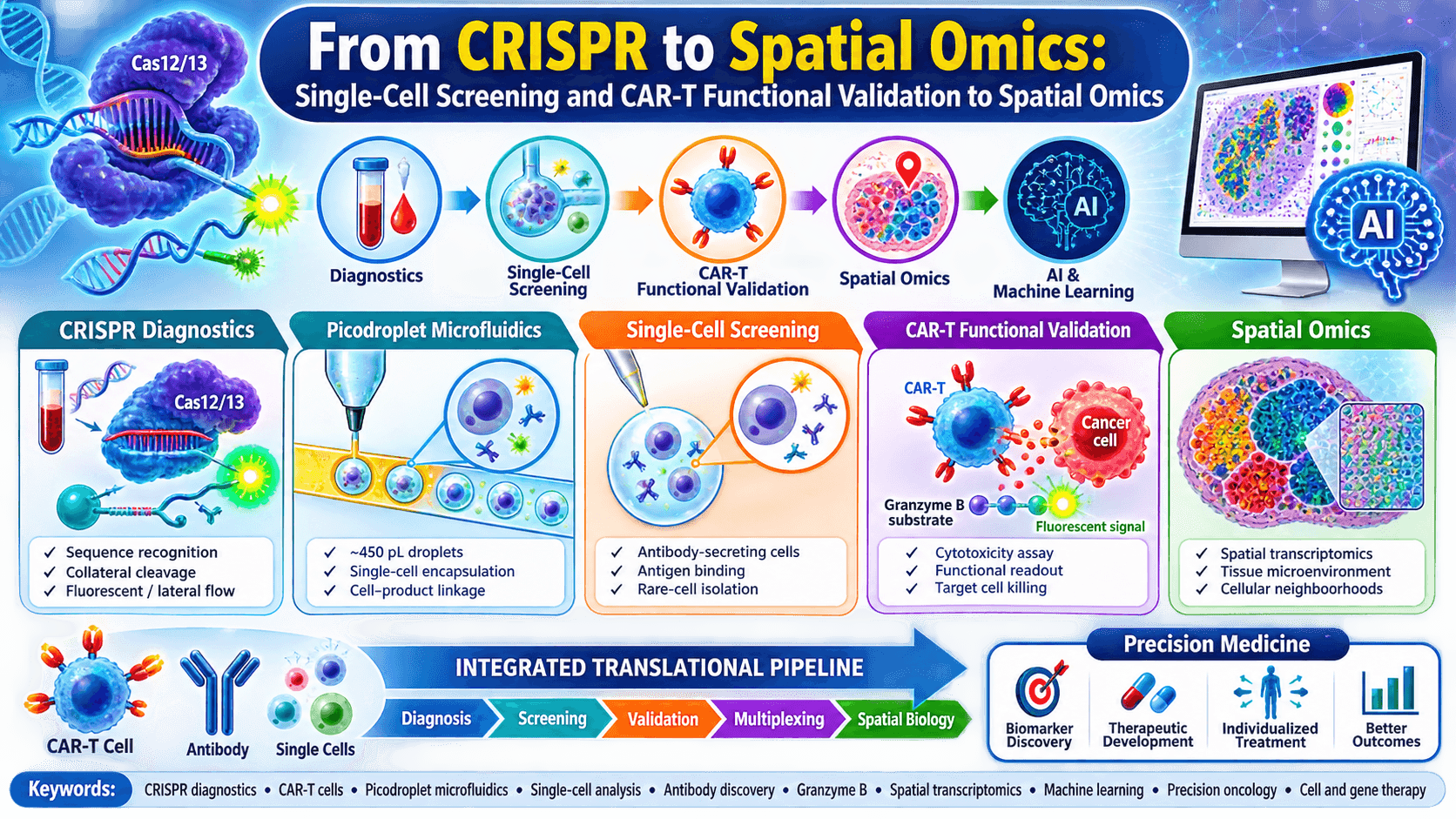 From CRISPR to Spatial Omics: Single-Cell Screening and CAR-T Functional Validation to Spatial Omics